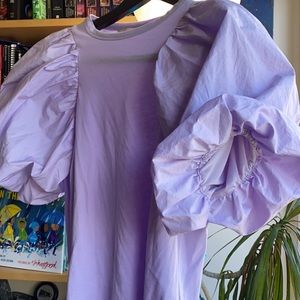 1️⃣9️⃣ H&M Purple Big Puffed Sleeve Top: X-Small